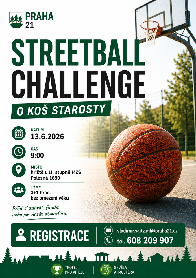 Basket_v&yacute;&scaron;ka.png