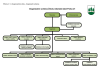 Organizacni schema.pdf
