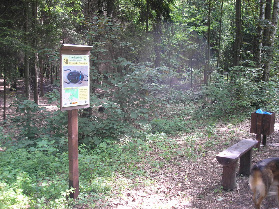 p1010062.jpg