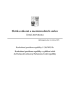 Sb_2025_138_PZZ.pdf