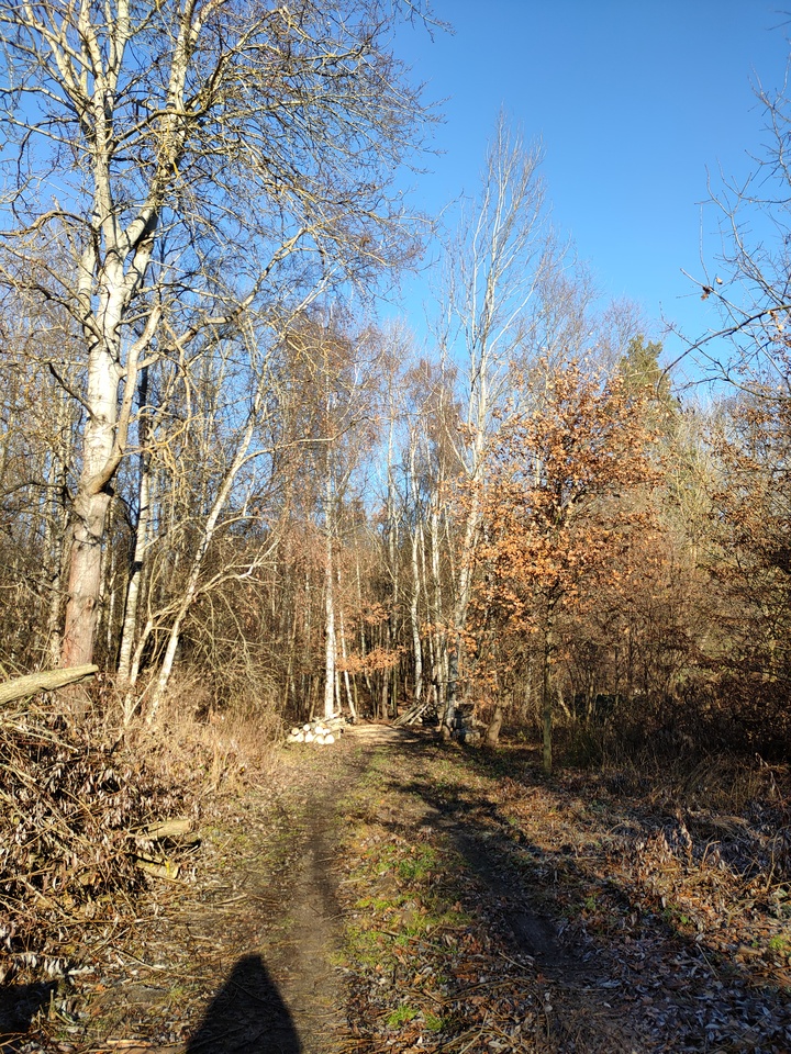 čankovská2.jpg